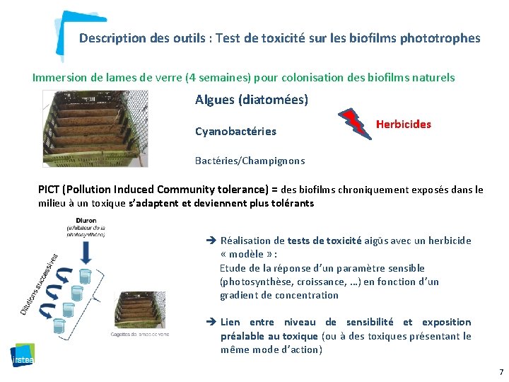 Description des outils : Test de toxicité sur les biofilms phototrophes Immersion de lames