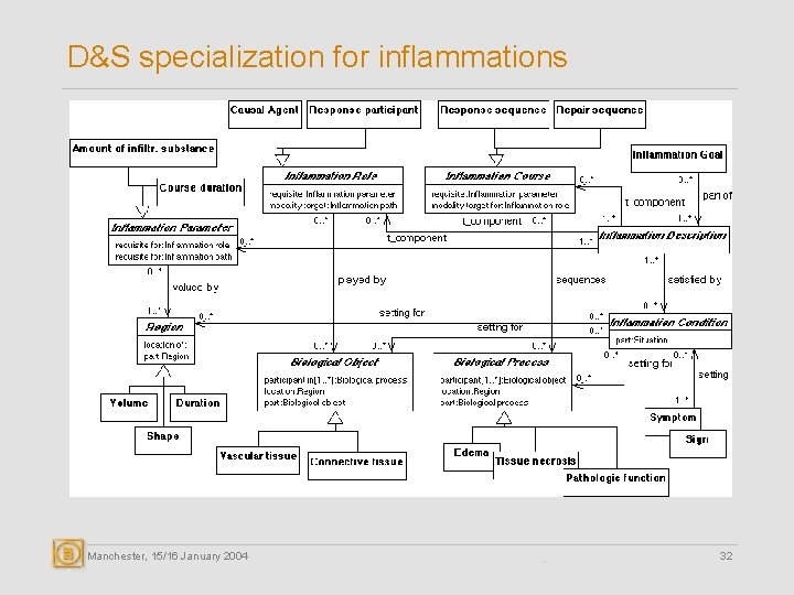 D&S specialization for inflammations Manchester, 15/16 January 2004 32 