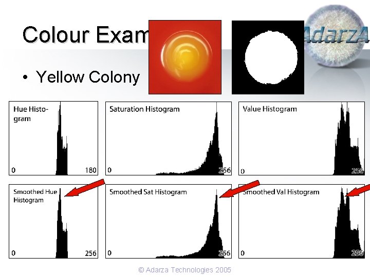 Colour Examples • Yellow Colony © Adarza Technologies 2005 