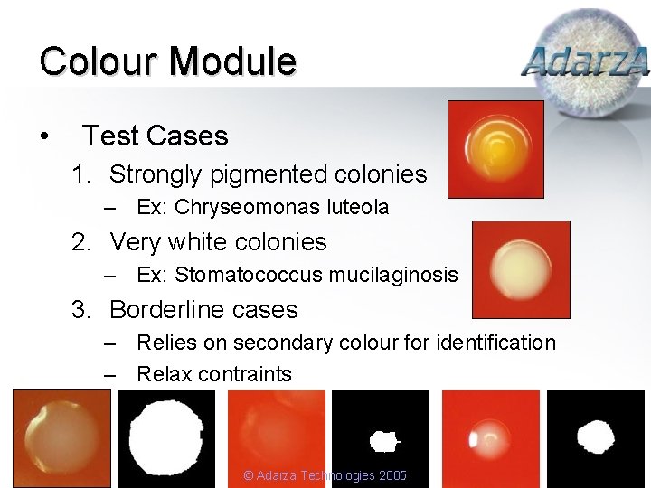 Colour Module • Test Cases 1. Strongly pigmented colonies – Ex: Chryseomonas luteola 2.