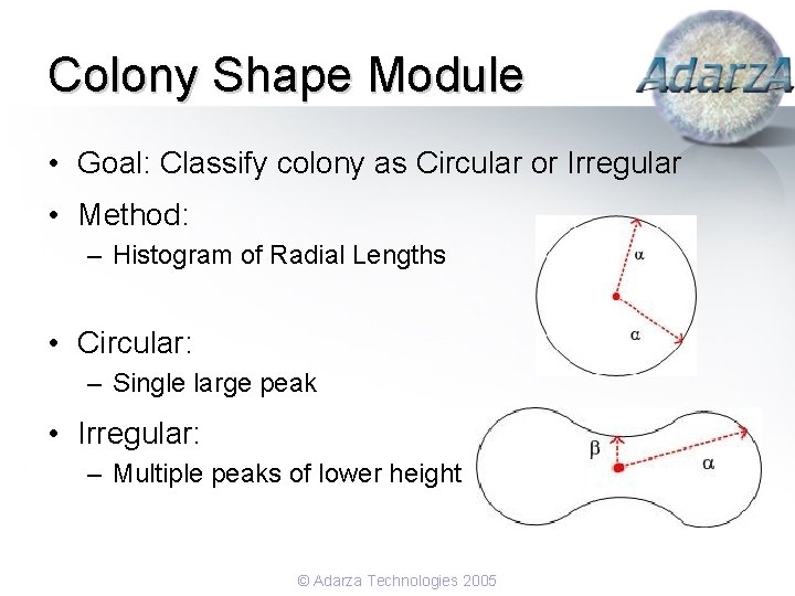 Colony Shape Module • Goal: Classify colony as Circular or Irregular • Method: –