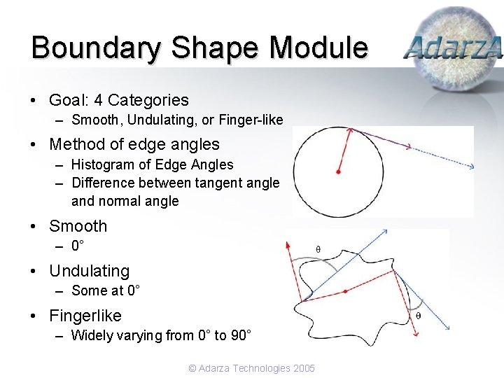 Boundary Shape Module • Goal: 4 Categories – Smooth, Undulating, or Finger-like • Method