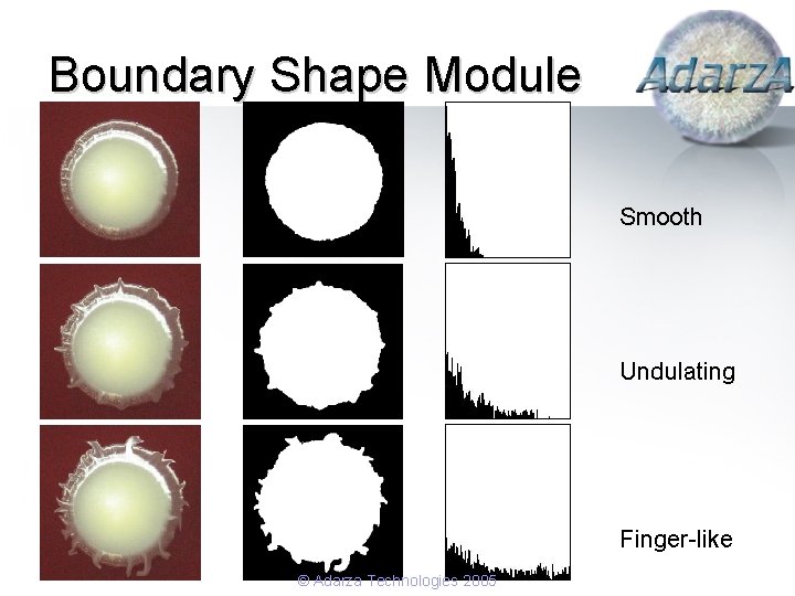 Boundary Shape Module Smooth Undulating Finger-like © Adarza Technologies 2005 