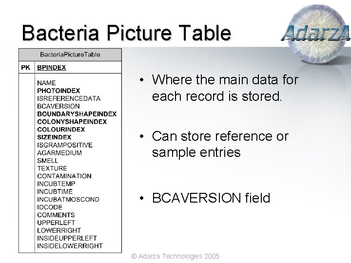Bacteria Picture Table • Where the main data for each record is stored. •