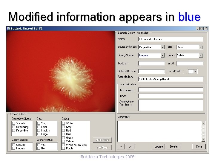 Modified information appears in blue © Adarza Technologies 2005 