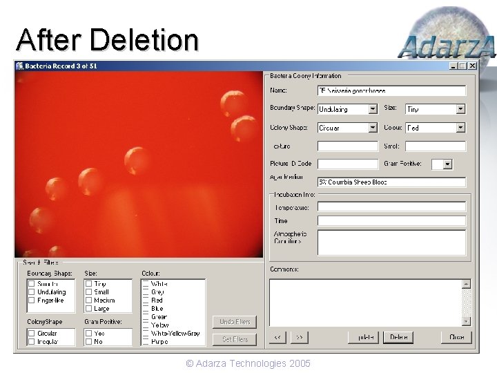 After Deletion © Adarza Technologies 2005 