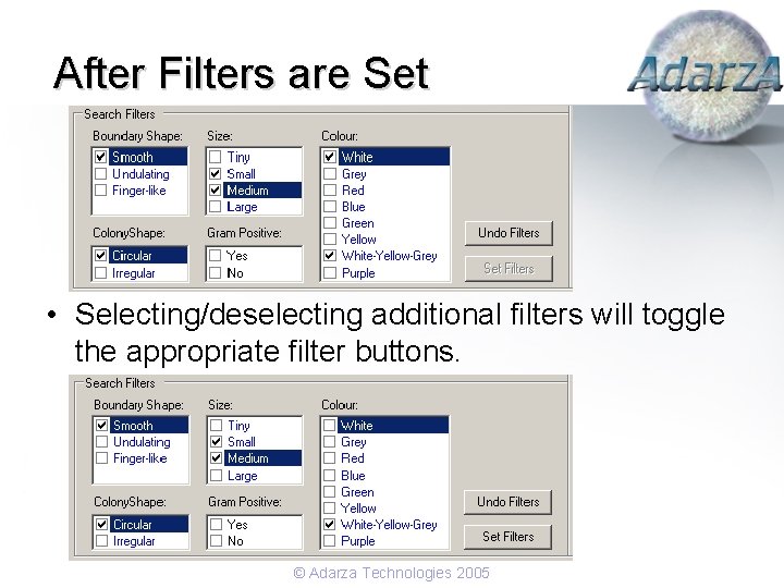 After Filters are Set • Selecting/deselecting additional filters will toggle the appropriate filter buttons.