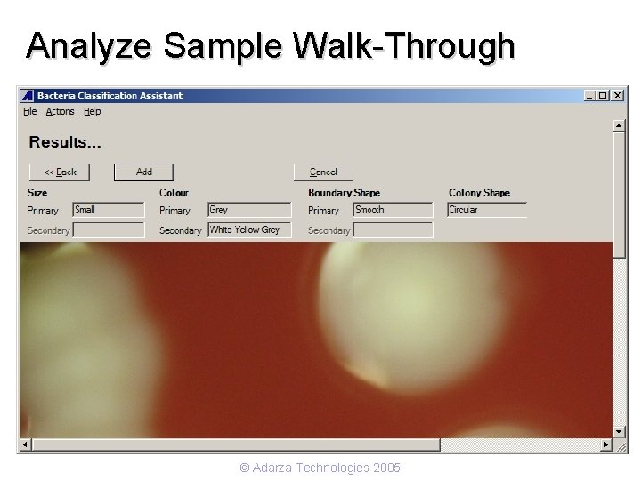 Analyze Sample Walk-Through © Adarza Technologies 2005 