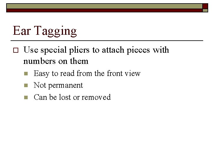Ear Tagging o Use special pliers to attach pieces with numbers on them n Ear Tagging o Use special pliers to attach pieces with numbers on them n