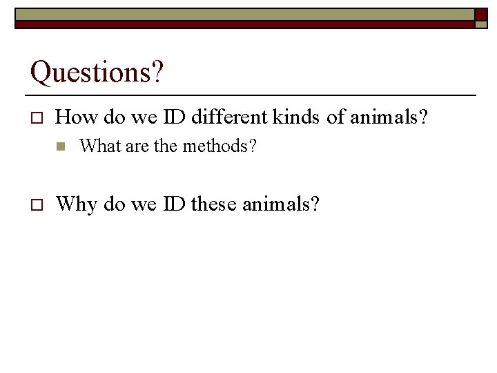 Questions? o How do we ID different kinds of animals? n o What are Questions? o How do we ID different kinds of animals? n o What are