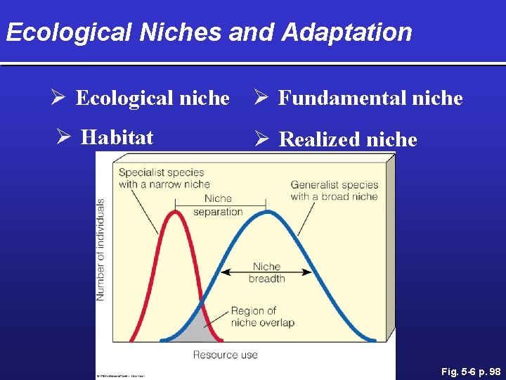 Ecological Niches and Adaptation Ø Ecological niche Ø Fundamental niche Ø Habitat Ø Realized