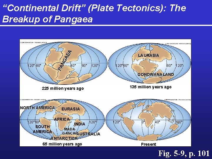 PA NG AE A “Continental Drift” (Plate Tectonics): The Breakup of Pangaea 120° 80°