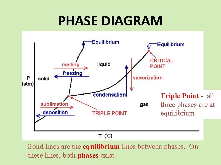 PHASE DIAGRAM Triple Point - all three phases are at equilibrium Solid lines are