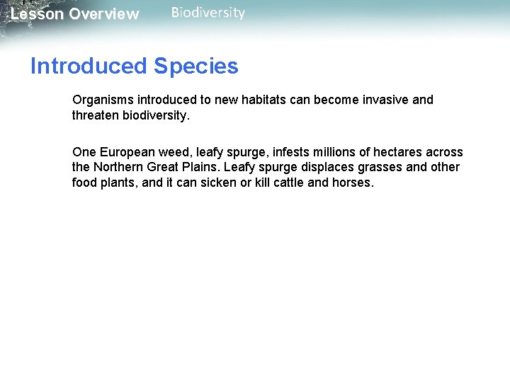 Lesson Overview Biodiversity Introduced Species Organisms introduced to new habitats can become invasive and