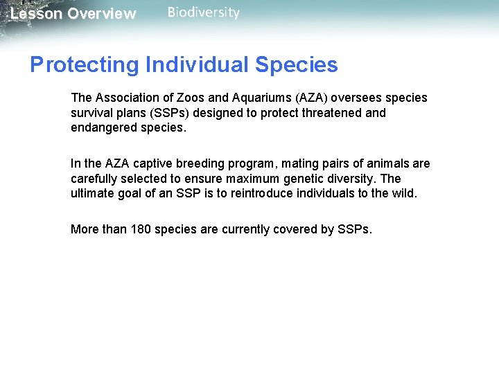 Lesson Overview Biodiversity Protecting Individual Species The Association of Zoos and Aquariums (AZA) oversees