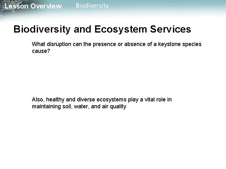 Lesson Overview Biodiversity and Ecosystem Services What disruption can the presence or absence of