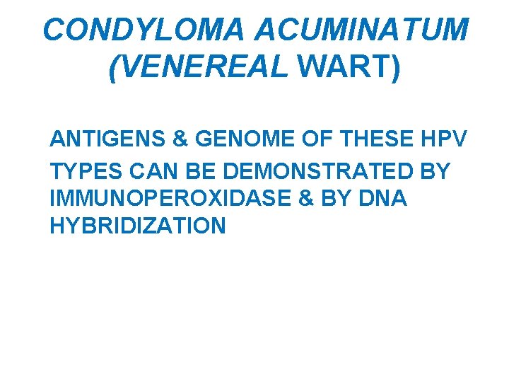 CONDYLOMA ACUMINATUM (VENEREAL WART) ANTIGENS & GENOME OF THESE HPV TYPES CAN BE DEMONSTRATED