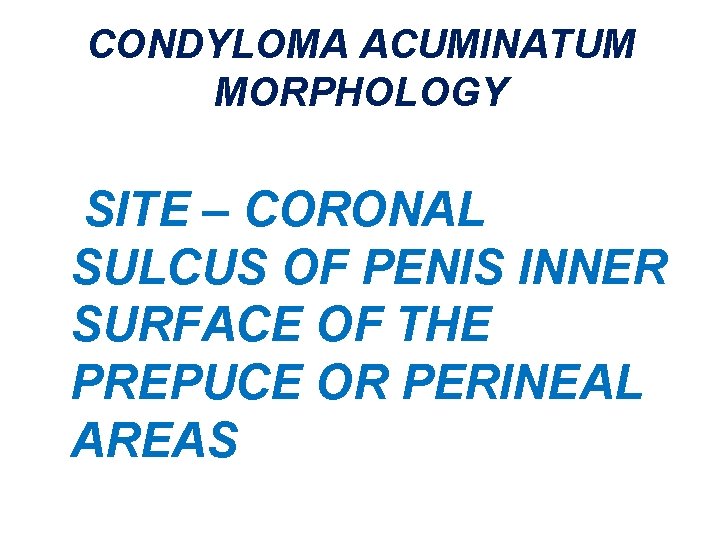 CONDYLOMA ACUMINATUM MORPHOLOGY SITE – CORONAL SULCUS OF PENIS INNER SURFACE OF THE PREPUCE