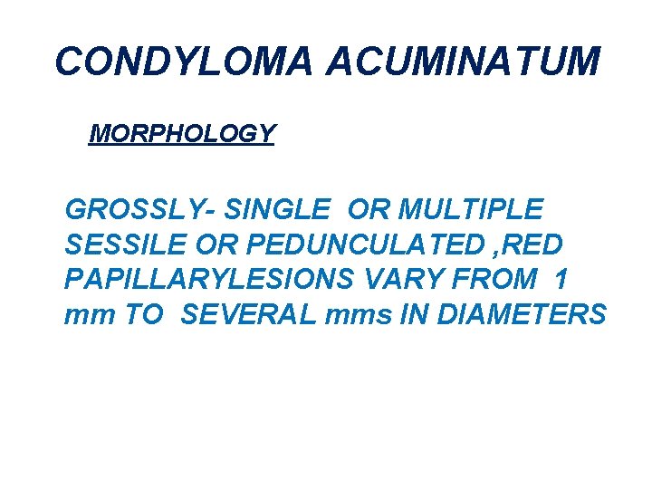 CONDYLOMA ACUMINATUM MORPHOLOGY GROSSLY- SINGLE OR MULTIPLE SESSILE OR PEDUNCULATED , RED PAPILLARYLESIONS VARY