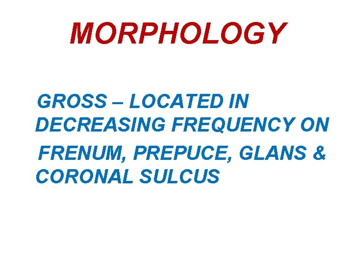 MORPHOLOGY GROSS – LOCATED IN DECREASING FREQUENCY ON FRENUM, PREPUCE, GLANS & CORONAL SULCUS