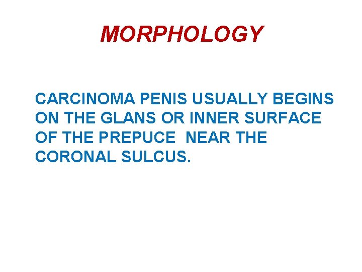 MORPHOLOGY CARCINOMA PENIS USUALLY BEGINS ON THE GLANS OR INNER SURFACE OF THE PREPUCE