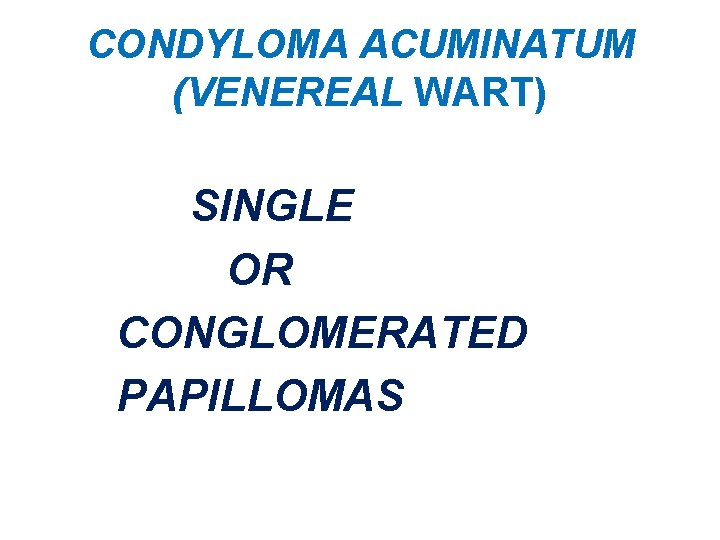 CONDYLOMA ACUMINATUM (VENEREAL WART) SINGLE OR CONGLOMERATED PAPILLOMAS 