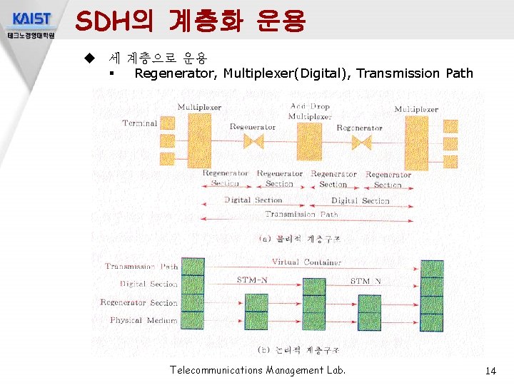 SDH의 계층화 운용 u 세 계층으로 운용 § Regenerator, Multiplexer(Digital), Transmission Path Telecommunications Management