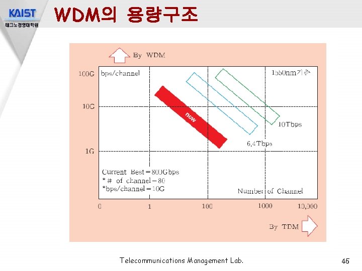 WDM의 용량구조 Telecommunications Management Lab. 45 