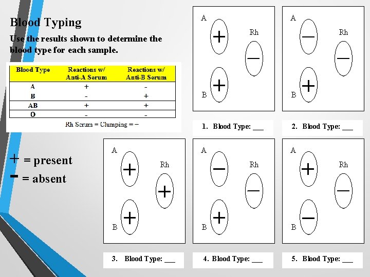 A Blood Typing Rh Use the results shown to determine the blood type for A Blood Typing Rh Use the results shown to determine the blood type for