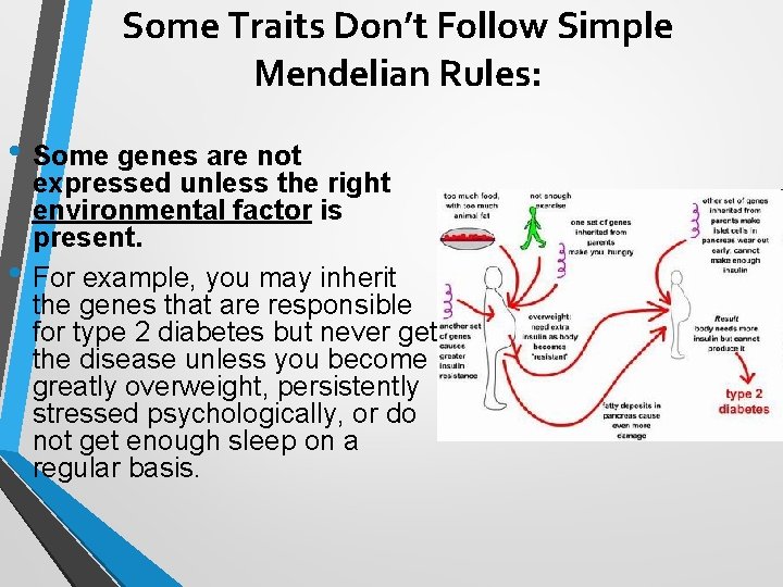 Some Traits Don’t Follow Simple Mendelian Rules: • Some genes are not • expressed Some Traits Don’t Follow Simple Mendelian Rules: • Some genes are not • expressed