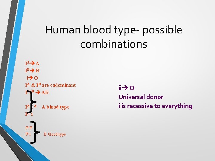 Human blood type- possible combinations IA A IB B i O IA & IB Human blood type- possible combinations IA A IB B i O IA & IB