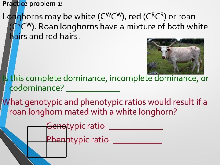 Practice problem 1: Longhorns may be white (CWCW), red (CRCR) or roan (CRCW). Roan Practice problem 1: Longhorns may be white (CWCW), red (CRCR) or roan (CRCW). Roan