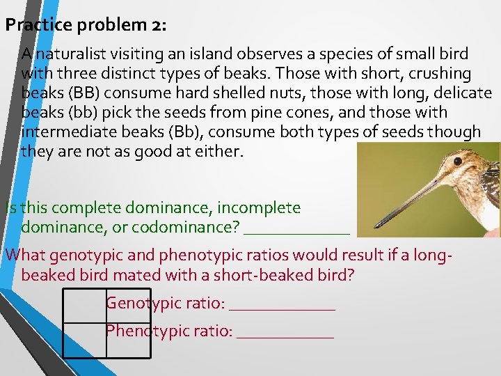 Practice problem 2: A naturalist visiting an island observes a species of small bird Practice problem 2: A naturalist visiting an island observes a species of small bird