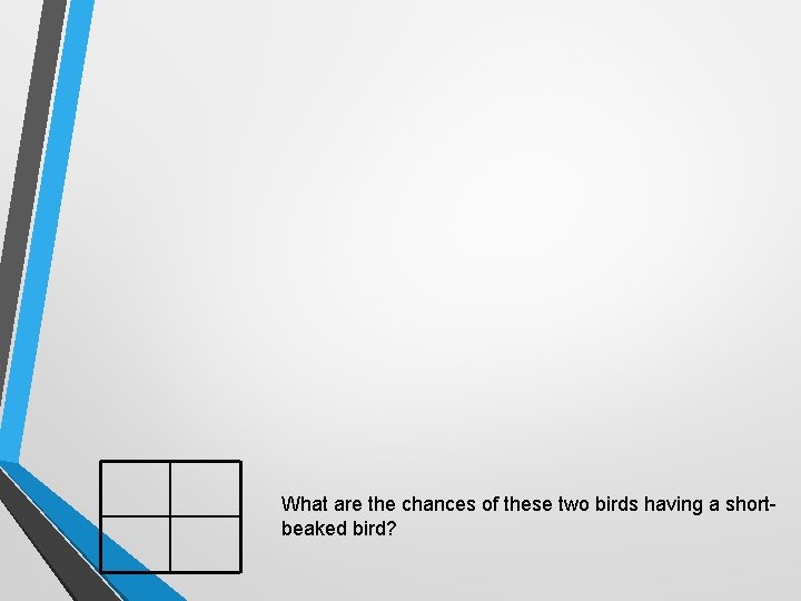 What are the chances of these two birds having a shortbeaked bird? What are the chances of these two birds having a shortbeaked bird?