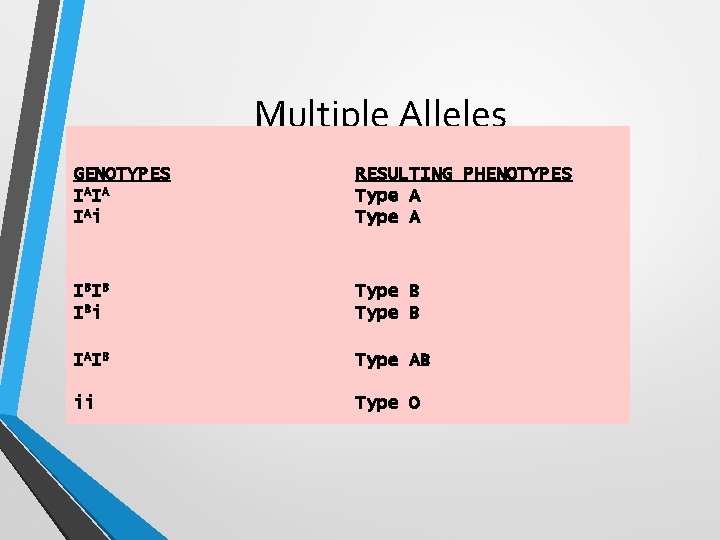 Multiple Alleles GENOTYPES IAIA IAi RESULTING PHENOTYPES Type A IBIB IBi Type B IAIB Multiple Alleles GENOTYPES IAIA IAi RESULTING PHENOTYPES Type A IBIB IBi Type B IAIB