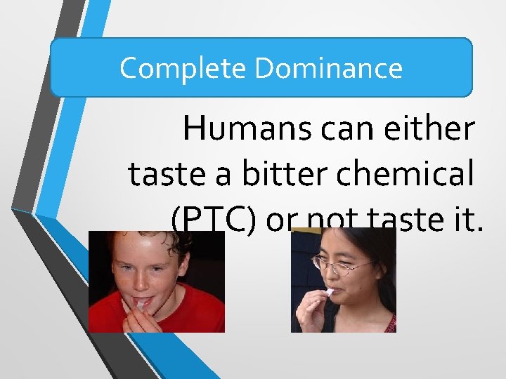Complete Dominance Humans can either taste a bitter chemical (PTC) or not taste it. Complete Dominance Humans can either taste a bitter chemical (PTC) or not taste it.