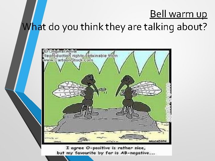 Bell warm up What do you think they are talking about? Bell warm up What do you think they are talking about?