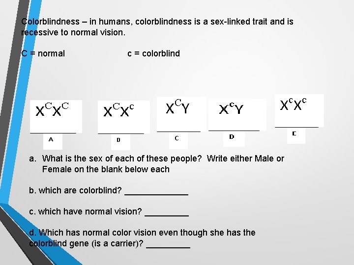 Colorblindness – in humans, colorblindness is a sex-linked trait and is recessive to normal Colorblindness – in humans, colorblindness is a sex-linked trait and is recessive to normal