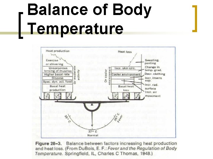 Balance of Body Temperature 