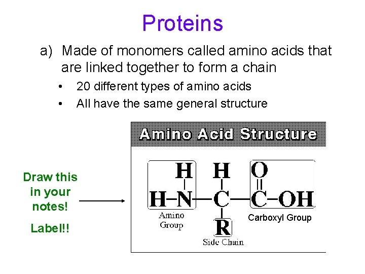 Proteins a) Made of monomers called amino acids that are linked together to form