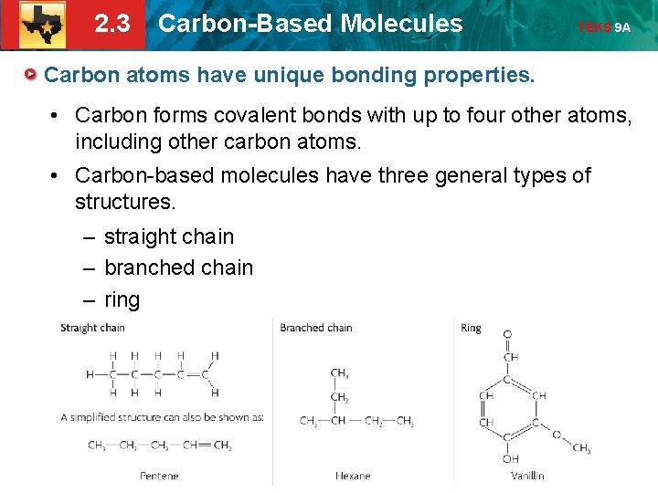 2. 3 Carbon-Based Molecules TEKS 9 A Carbon atoms have unique bonding properties. •