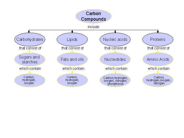 Carbon Compounds include Carbohydrates Lipids Nucleic acids Proteins that consist of Sugars and starches