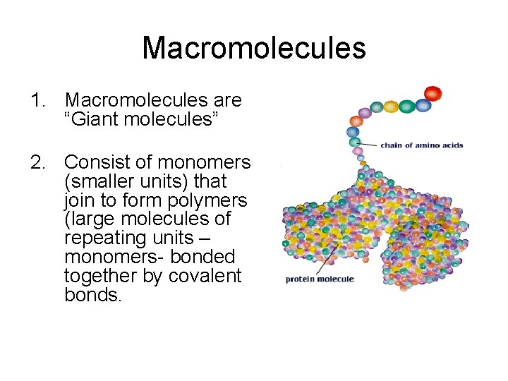 Macromolecules 1. Macromolecules are “Giant molecules” 2. Consist of monomers (smaller units) that join