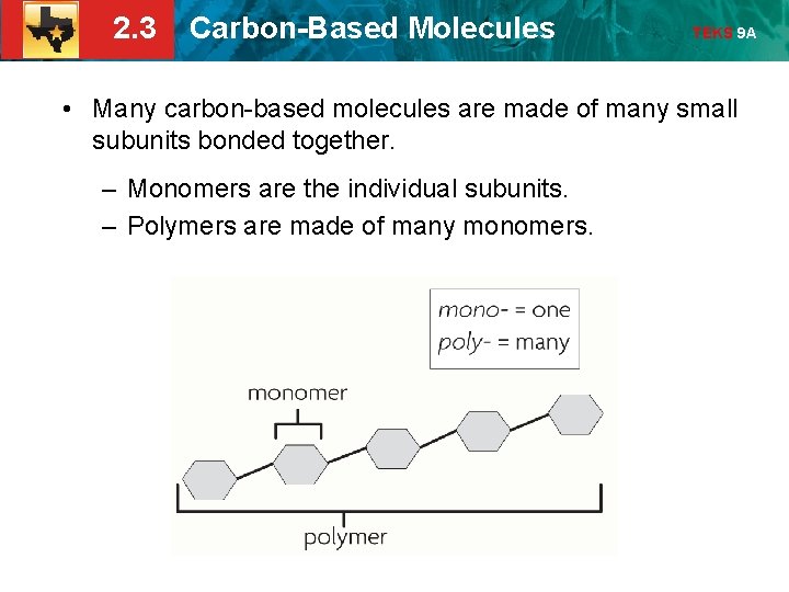 2. 3 Carbon-Based Molecules TEKS 9 A • Many carbon-based molecules are made of