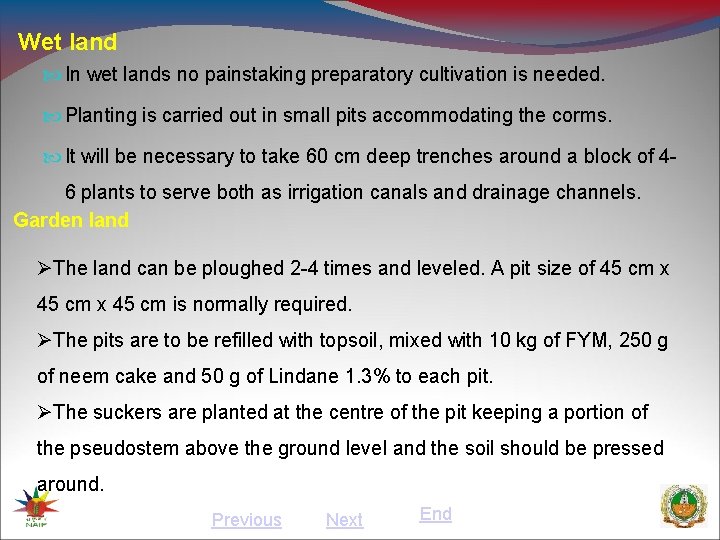 Wet land In wet lands no painstaking preparatory cultivation is needed. Planting is carried