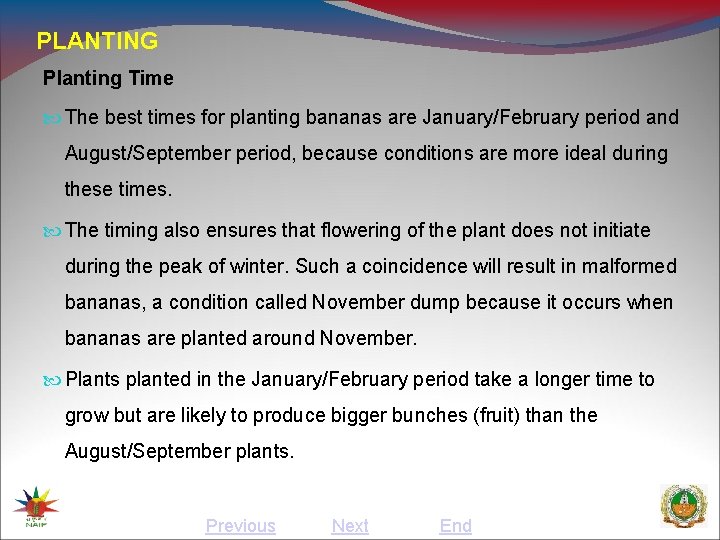 PLANTING Planting Time The best times for planting bananas are January/February period and August/September
