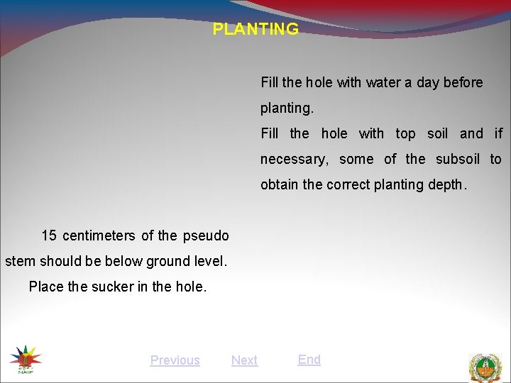 PLANTING Fill the hole with water a day before planting. Fill the hole with