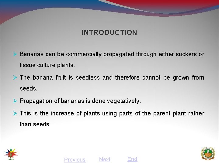 INTRODUCTION Bananas can be commercially propagated through either suckers or tissue culture plants. The