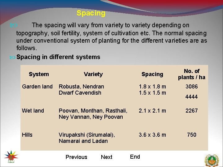Spacing The spacing will vary from variety to variety depending on topography, soil fertility,