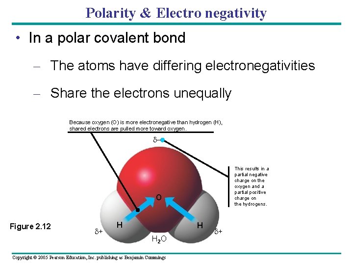 Polarity & Electro negativity • In a polar covalent bond – The atoms have